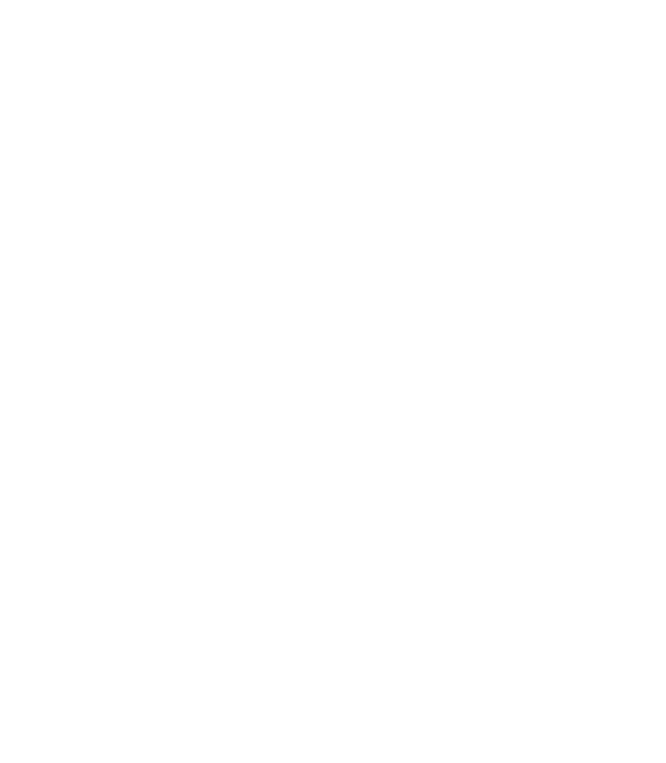 DP Management